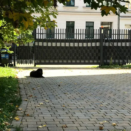 Апартаменты Leone