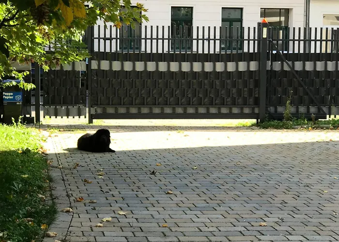 Lägenhet Leone